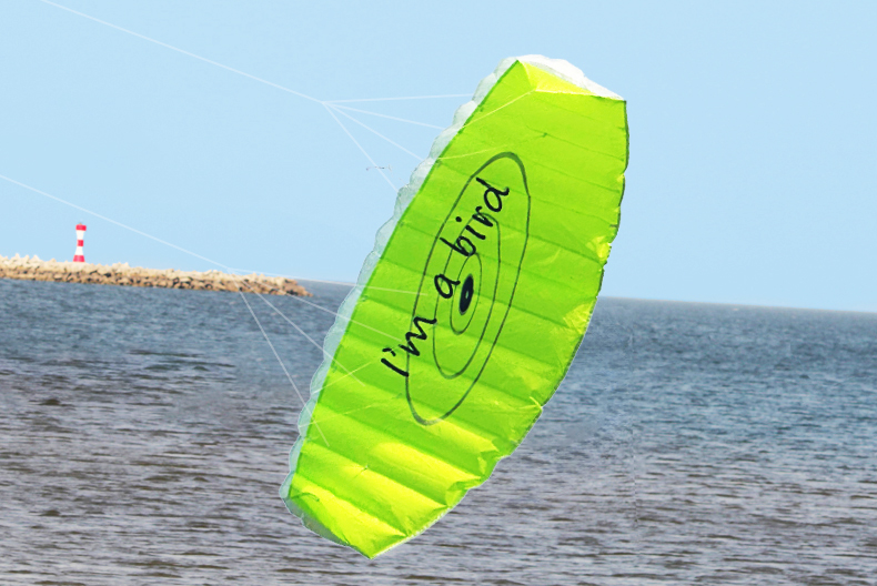 Nuevo Deportes divertidos al a - Outdoor Power Line reseña y precio