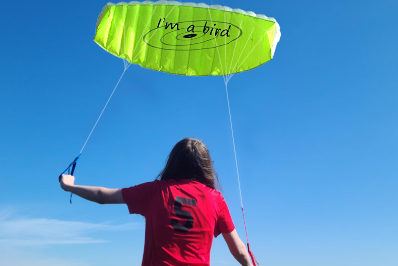 Nuevo Deportes divertidos al a - Outdoor Power Line reseña y precio